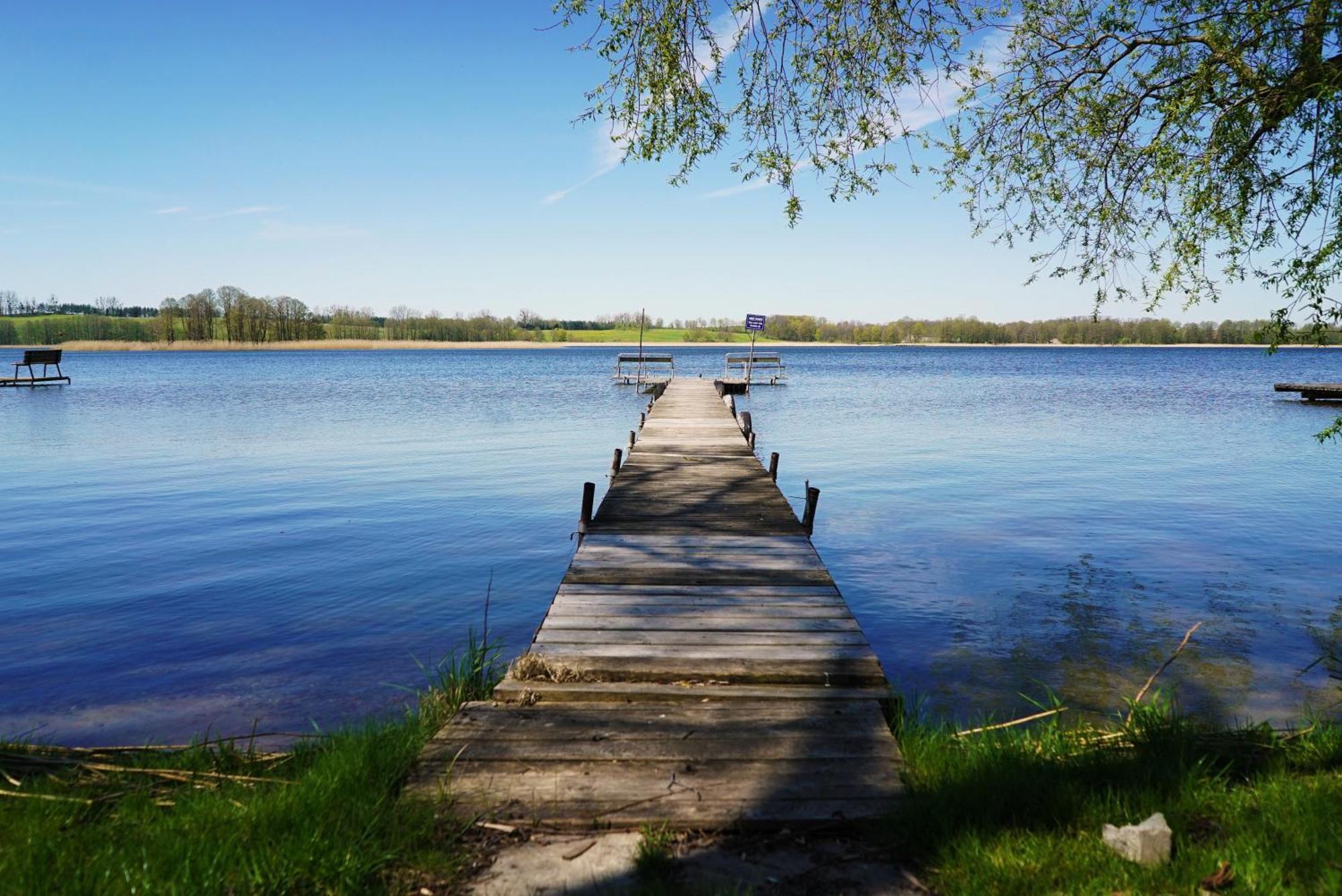 Cinema House Mazury Villa Ryn  Dış mekan fotoğraf